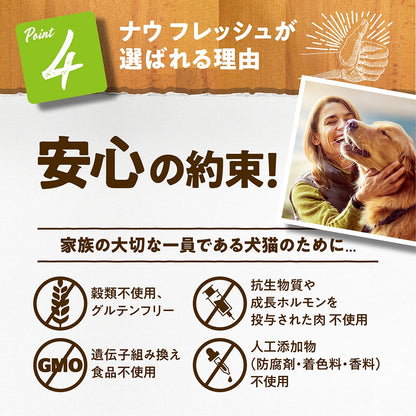 ナウフレッシュ グレインフリー スモールブリード アダルト 2.3kg 小粒 ドッグフード NOW FRESH