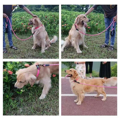 爆発的なヒットです防爆ですテカリですペットです牽引ロープです犬の鎖ですリードの散歩です中大型犬です犬です牽引ロープです ペット