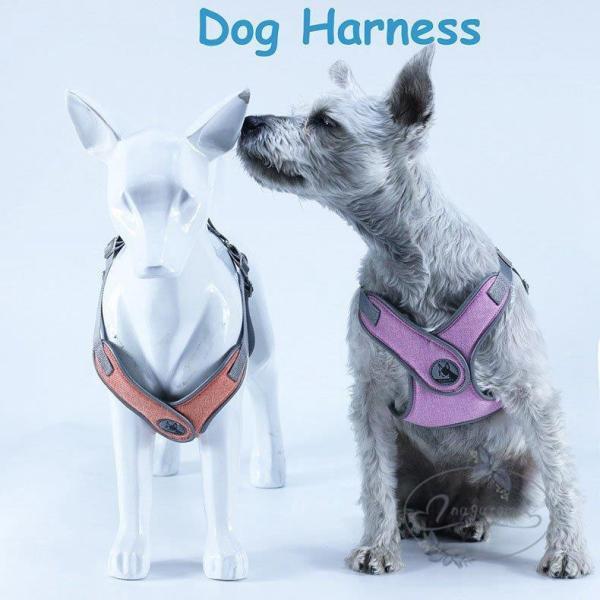 犬 猫 ハーネスリード付き 脱げない 苦しくない おしゃれ ペット服 胴輪 犬 ハーネス 犬用リード 愛犬 お散歩 ペット用品 丈夫 小型犬 中型犬 おしゃれ メッシュ