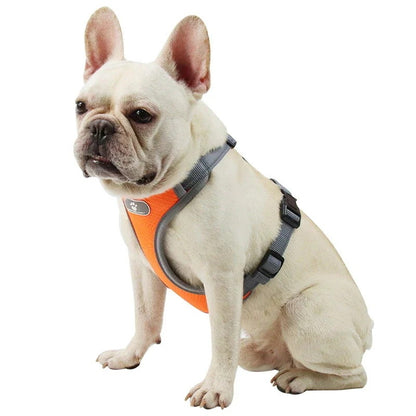 沸騰新柄追加 犬 ハーネス 犬ハーネス 胴輪 犬用ハーネス 犬のハーネス おしゃれ かわいい リード 子犬 小型犬 中型犬 脱げない リードセット 簡単装着 快適 アジャスquma
